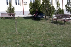 20160321_113654_resized